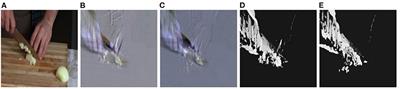 Exploiting the Nature of Repetitive Actions for Their Effective and Efficient Recognition